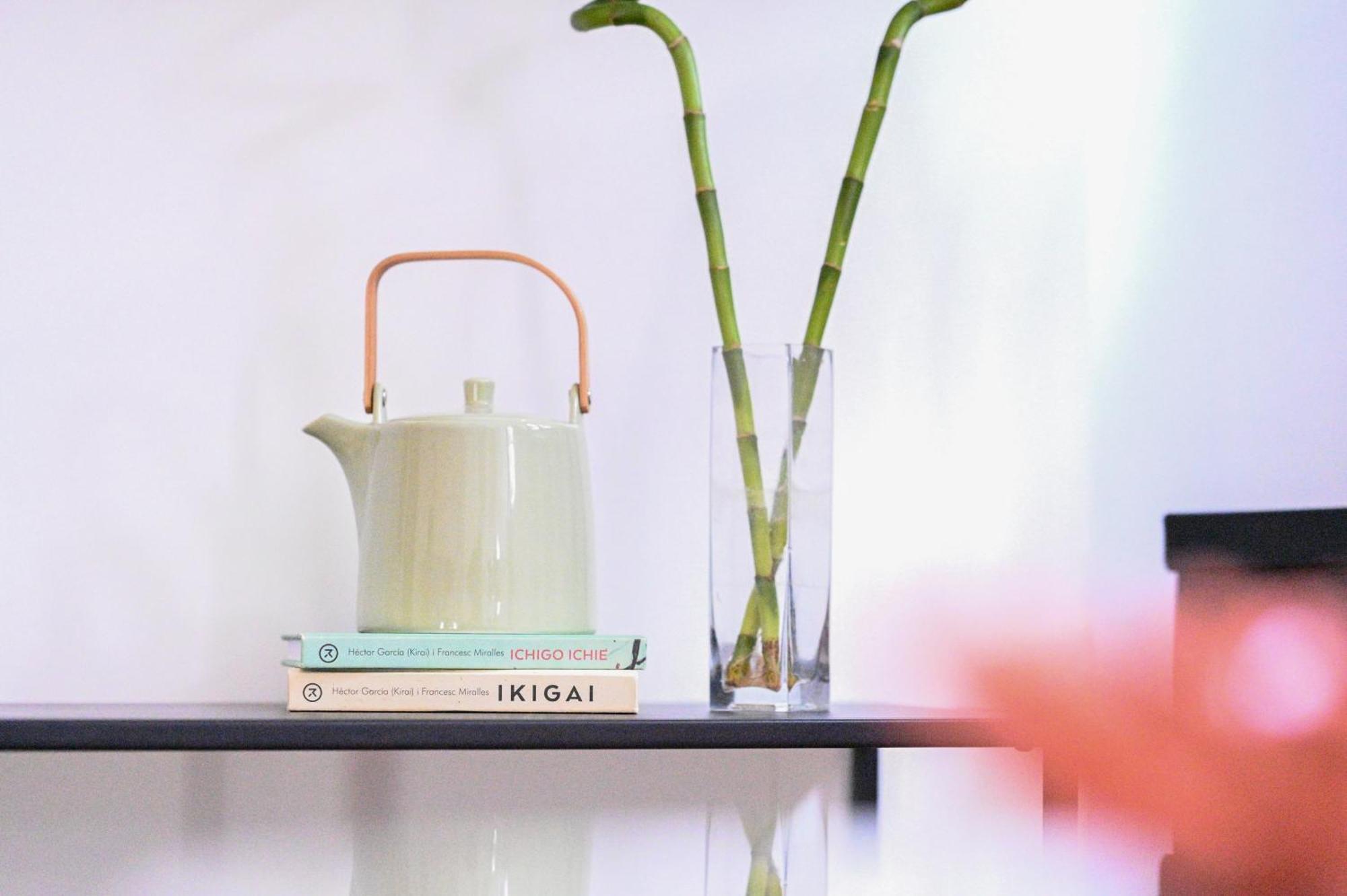 Apartment Mia زادار المظهر الخارجي الصورة